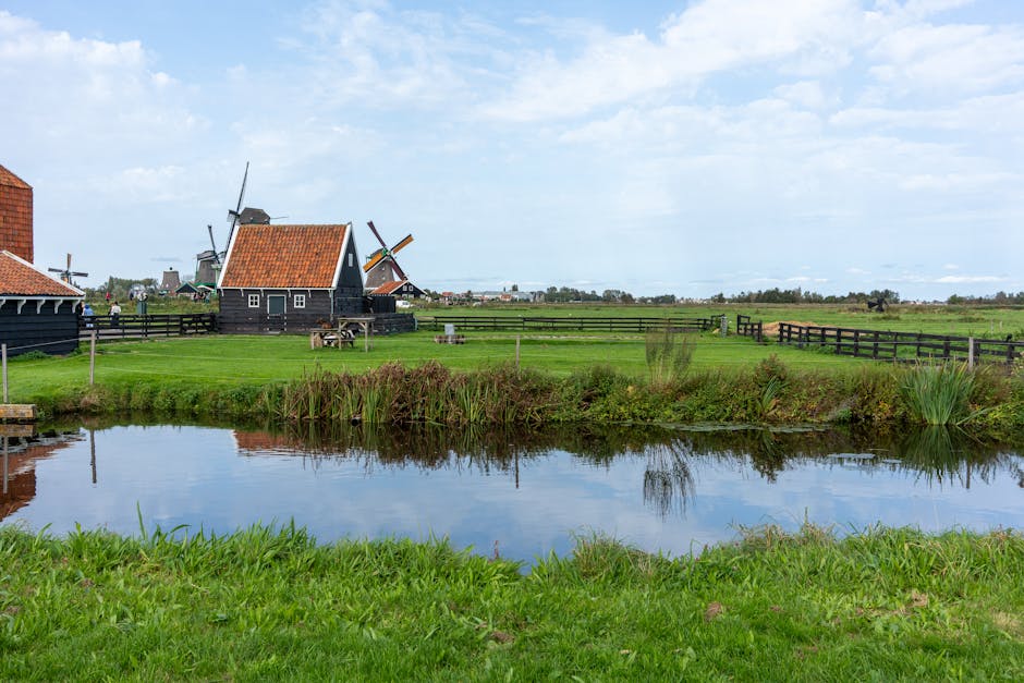 Beautiful rural landscape in Zaandam, Netherlands featuring iconic windmills and serene ponds.